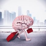 brain