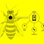 Rock Level bee illustration_yellow