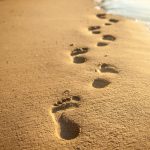 Footprints,At,Sunset,With,Golden,Sand.,Beach,,Wave,And,Footsteps