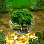 environmental-protection-g44f0710cb_1280