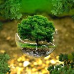 environmental-protection-g5703e4b8a_1280