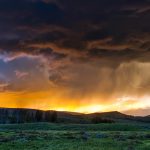 fields-g5379f8699_1280