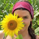 sunflower-g6d28137d2_1280