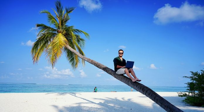 man with laptop sat on palm tree summer working
